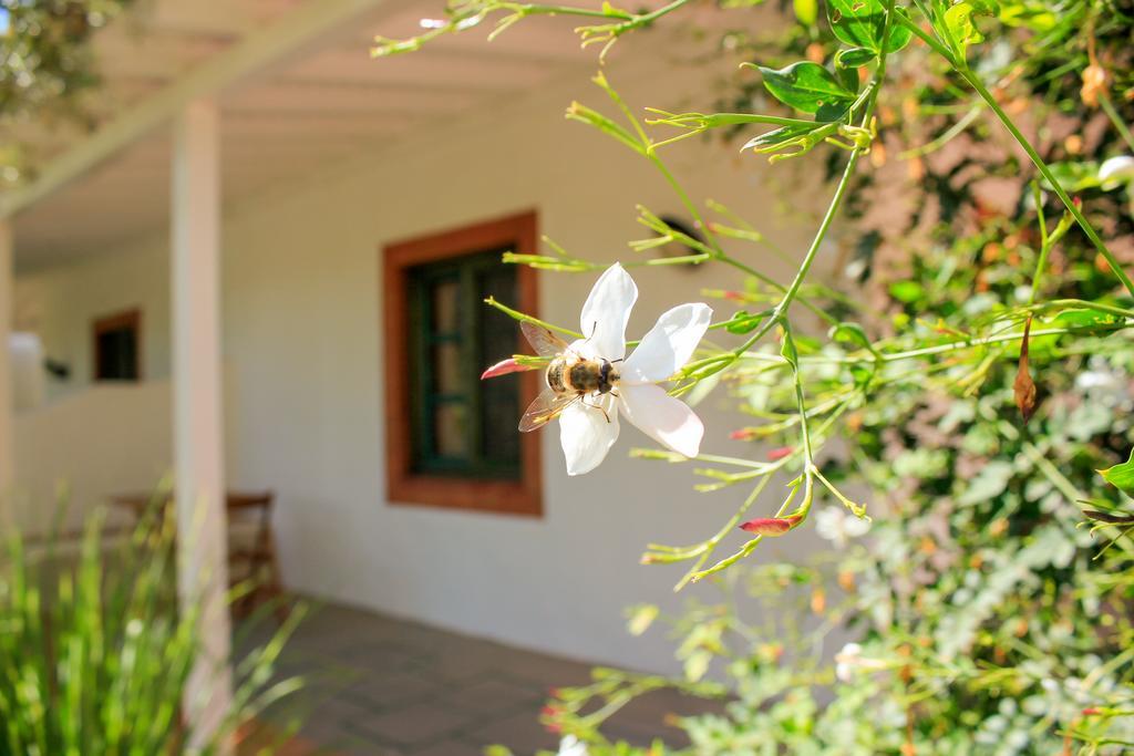 Fazendinha - Tavira - Spacious And Tranquil Hotel Ngoại thất bức ảnh